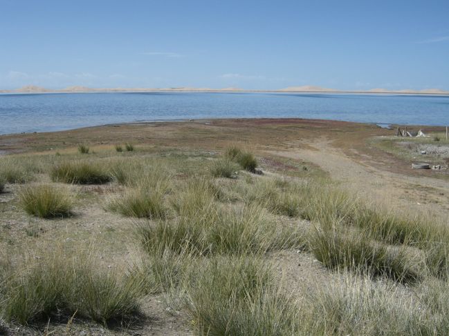  2006:09:11 00:31:35   NE BeachRdg1 - center of delta formed by ephemeral creek running through gully.jpg